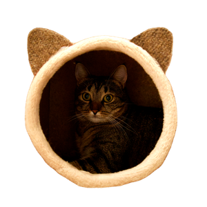 Cute Tabby Cat Peeking Out From A Cozy Beige Cat House With Ear Shaped Details. 15740 - Cat PNG image with transparent background